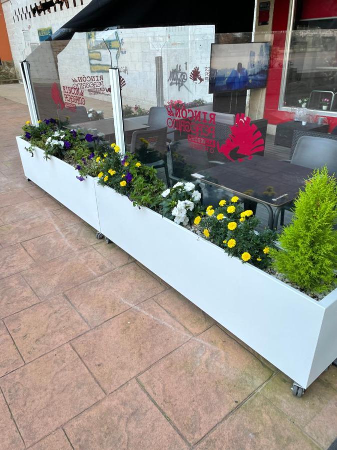 Albergue Rincon Del Peregrino Porrino-Pleno Centro-City Center Ngoại thất bức ảnh